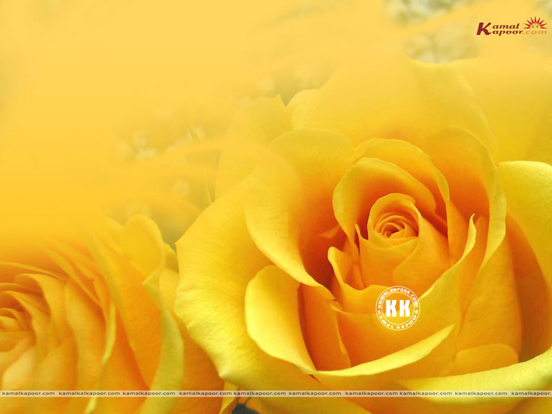 Biblical meaning of 327 photo 3