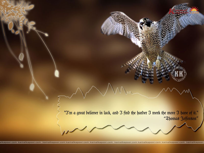 Fact-Quotation Wallpaper Fact-Quotation Wallpaper