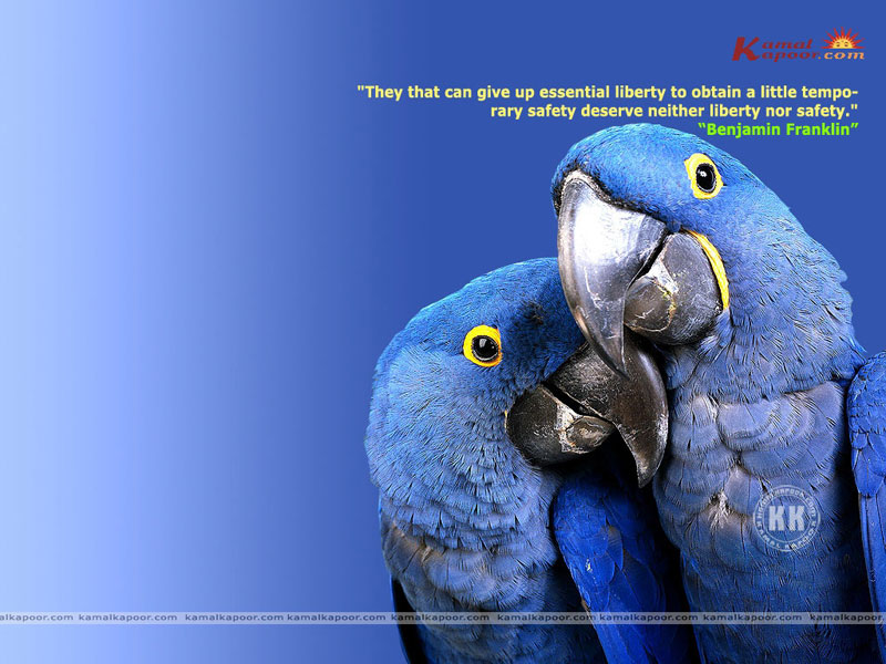 wallpapers of quotes. Fact-Quotation Wallpaper