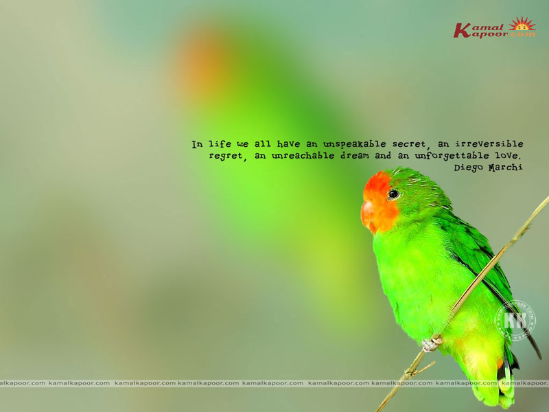 desktop wallpaper of quotes. Fact-Quotation Wallpaper