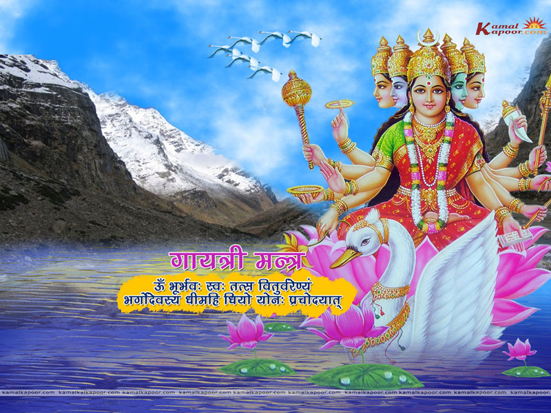 laxmi wallpaper. (Lakshmi Wallpapers, D)