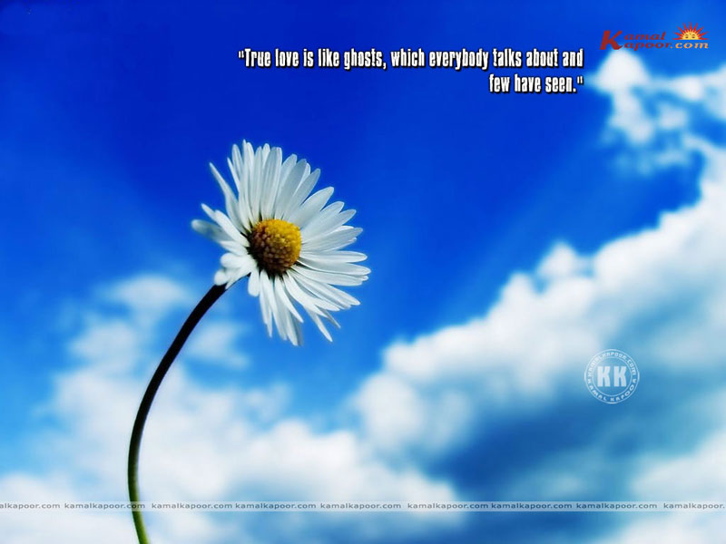 Love Quotation Wallpapers, wallpapers of quotes, Quote Desktop Backgrounds, 