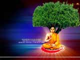 Budha Wallpaper