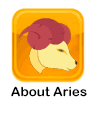 About Aries
