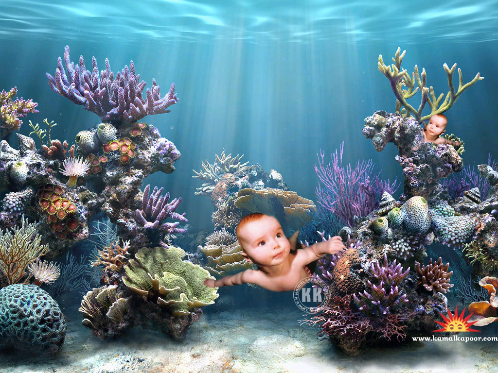 baby Wallpaper