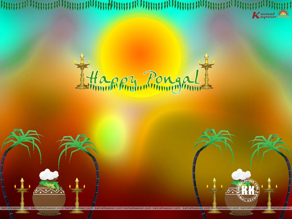 Pongal  Wallpaper