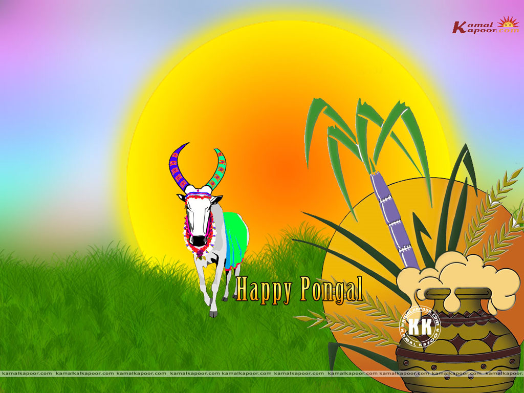 Pongal  Wallpaper