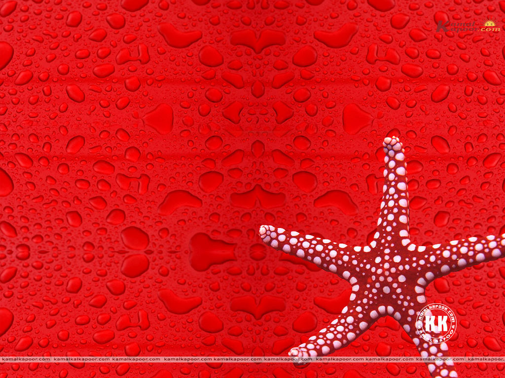 Red Wallpaper