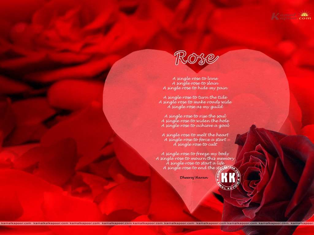 Rose Wallpaper