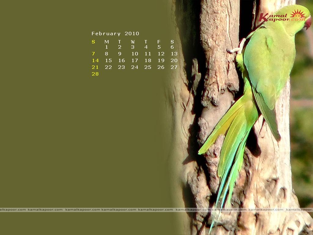 calendar Wallpaper
