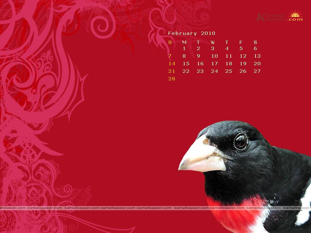 calendar Wallpaper