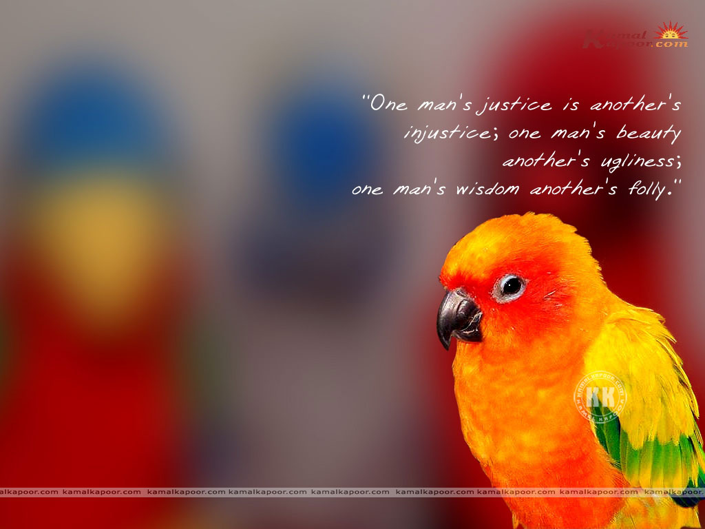 Fact-Quotation Wallpaper