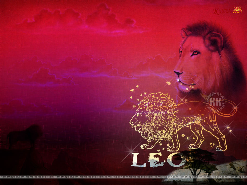 Leo Wallpaper Wallpaper