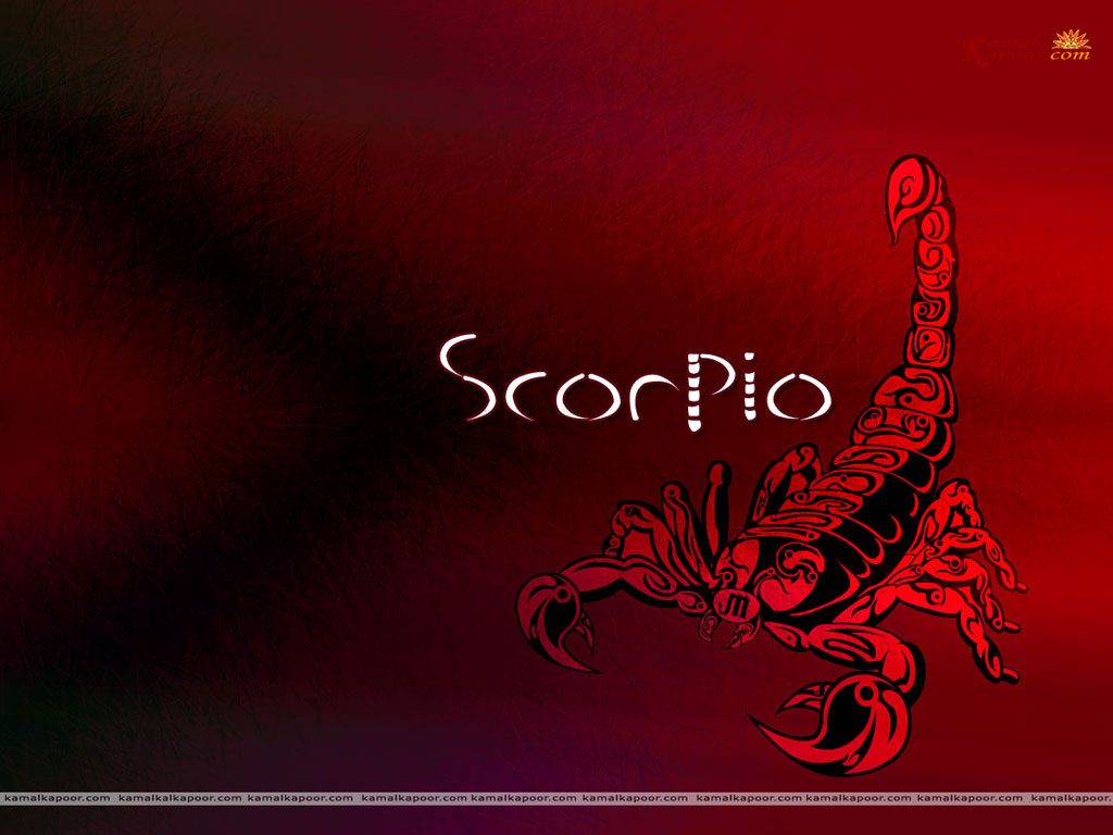 Scorpio Wallpaper