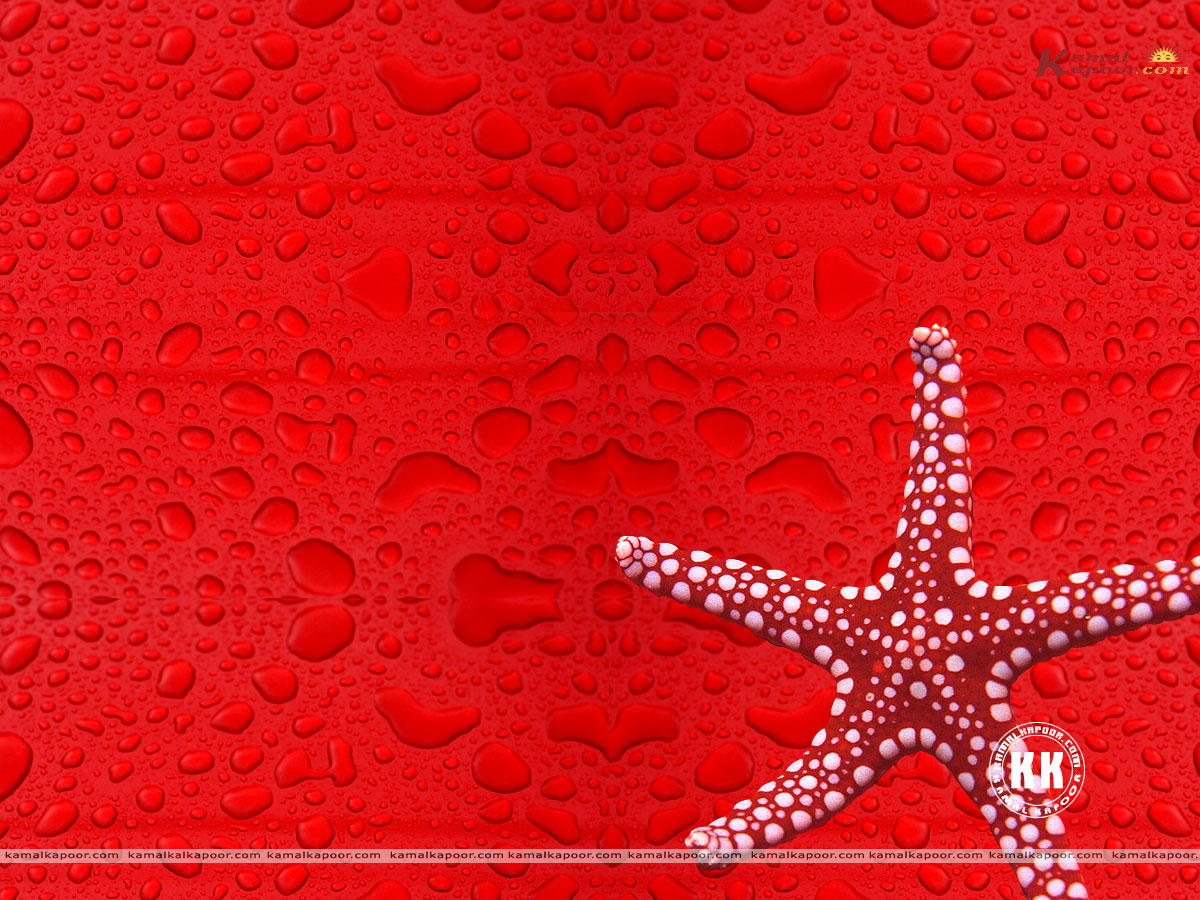 Colors wallpapers, Best Colors Pictures, Best Colors Wallpapers, Colors