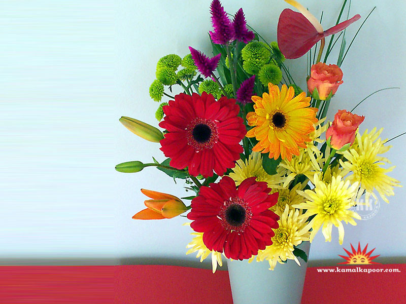 Flowers Wallpapers Flowers Desktop Wallpaper Free Download Desktop Flowers Wallpapers Free Flower Pics