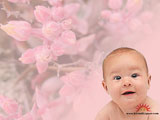 Baby Wallpapers