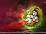 Janmashtami Wallpaper Wallpaper