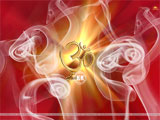 Om Wallpaper