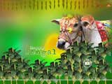 Pongal Wallpaper