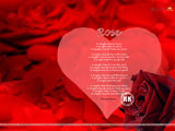 Rose Wallpaper