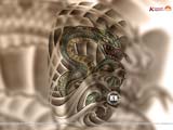 Tattoo Wallpaper