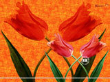 Tulip Wallpaper