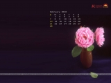 calendar Wallpaper