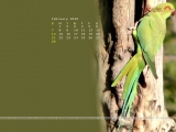 calendar Wallpaper
