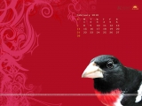 calendar Wallpaper