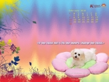 calendar Wallpaper