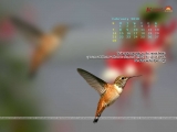 calendar Wallpaper