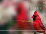 calendar Wallpaper
