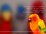 Fact-Quotation Wallpaper