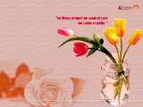 Love-Quotation Wallpaper