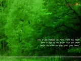 Love-Quotation Wallpaper