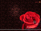 Valentine Wallpaper